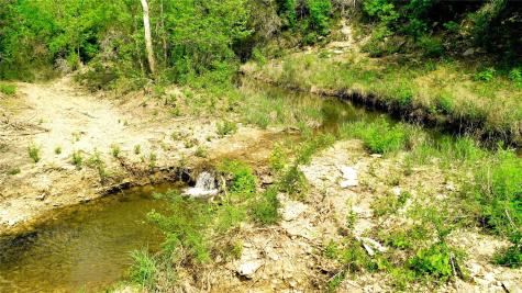 Tbd S Fm 1174 Bertram TX 78605