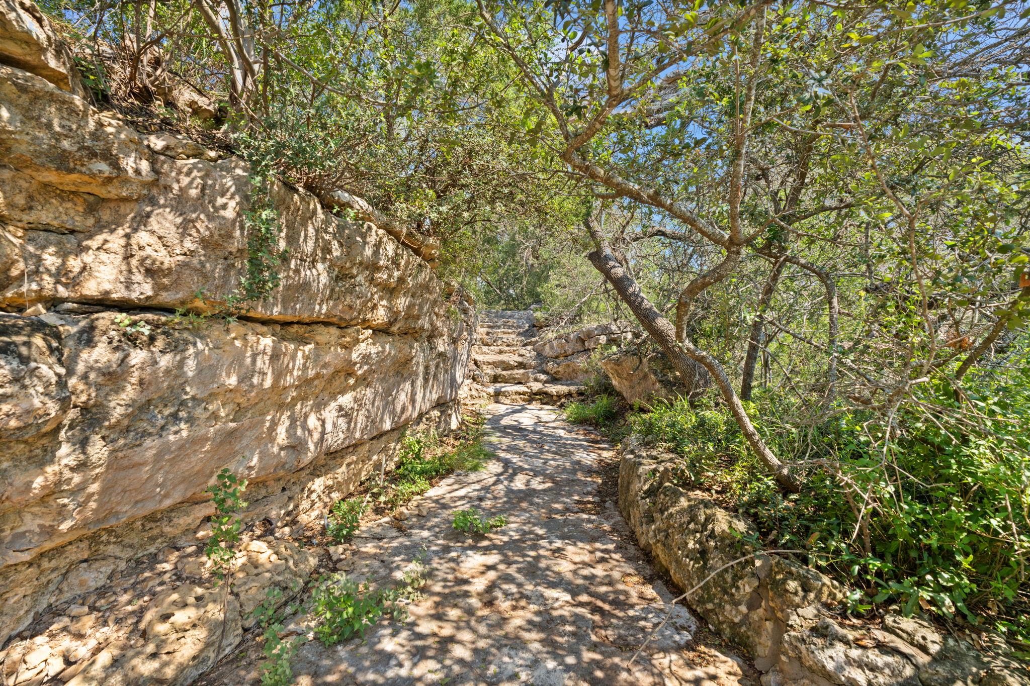 1517 Likeness Road Spicewood TX 78669