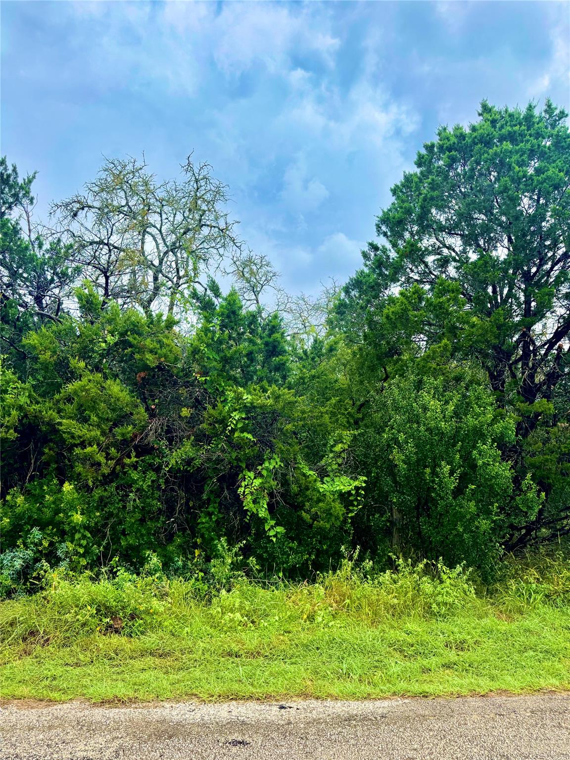 Tbd Tracts 10 & 22 Goat Hill Road Lakehills TX 78063