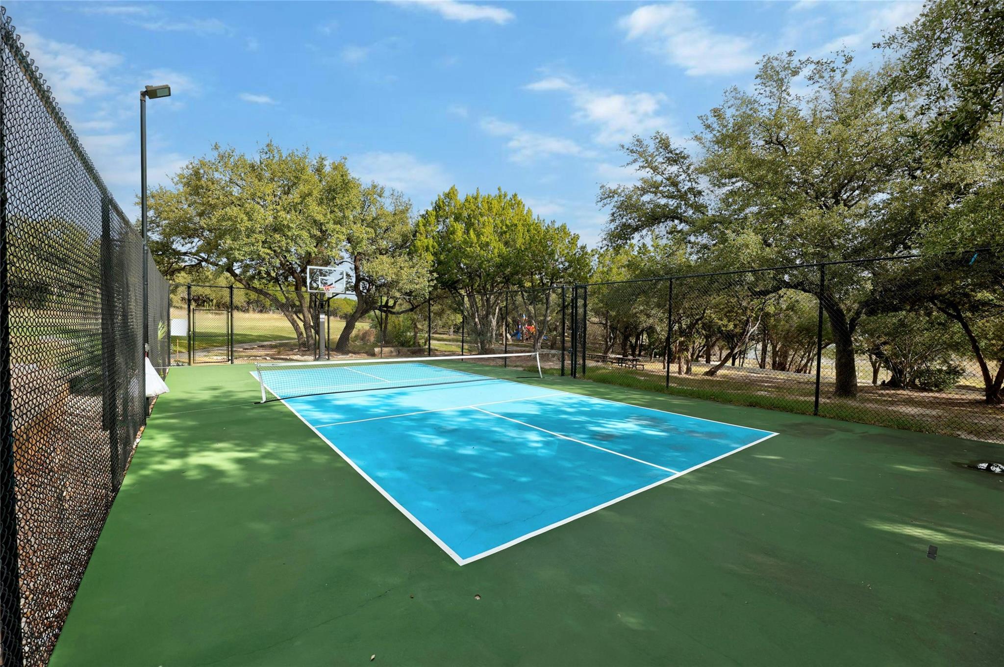 7205 Celebration Court Jonestown TX 78645