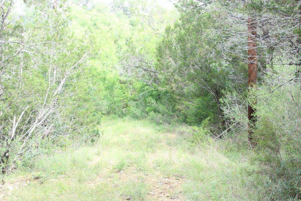 475 County Road 343-a Road Marble Falls TX 78654