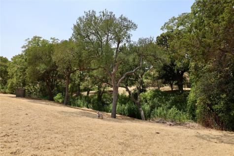Lots 1 & 2 NW River Road Martindale TX 78655