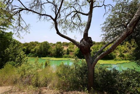 Lots 1 & 2 NW River Road Martindale TX 78655