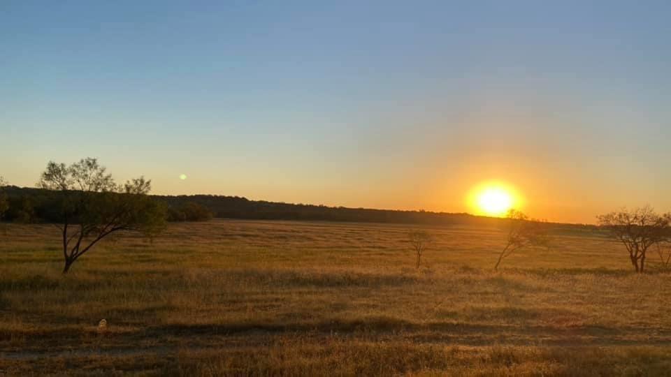 1975 Buffalo Creek Drive Evant TX 76525