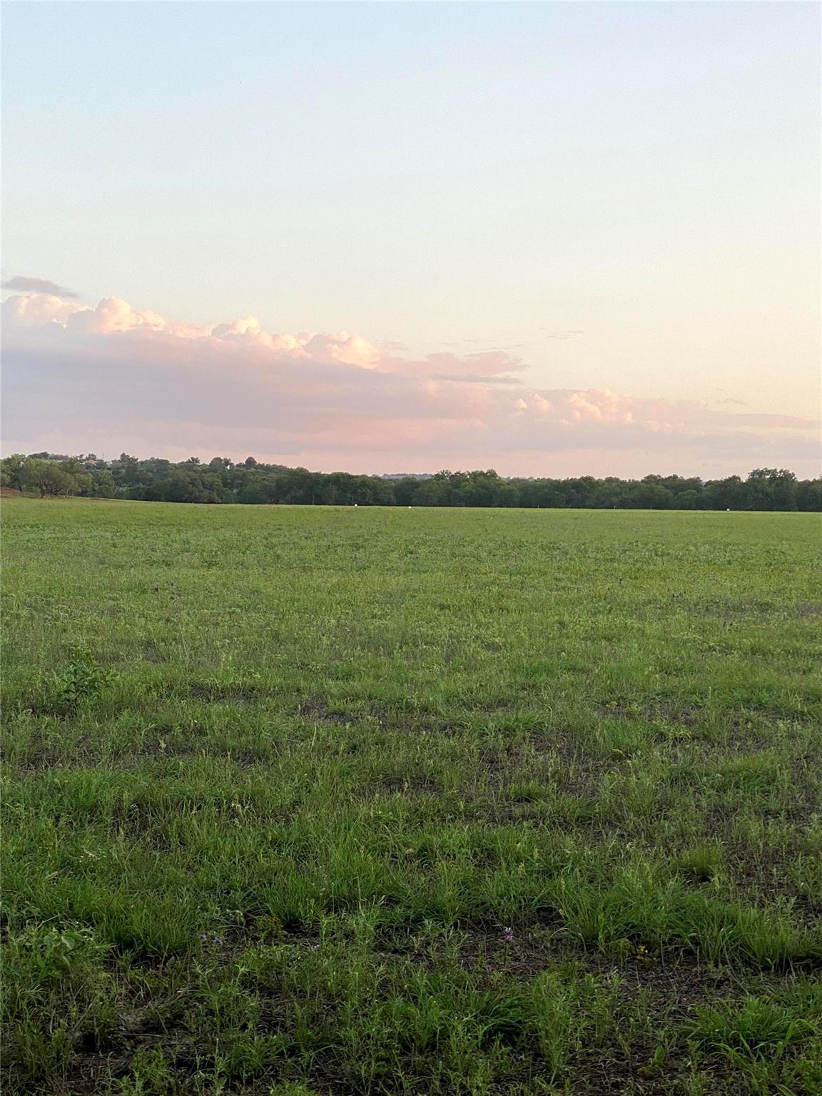 1975 Buffalo Creek Drive Evant TX 76525