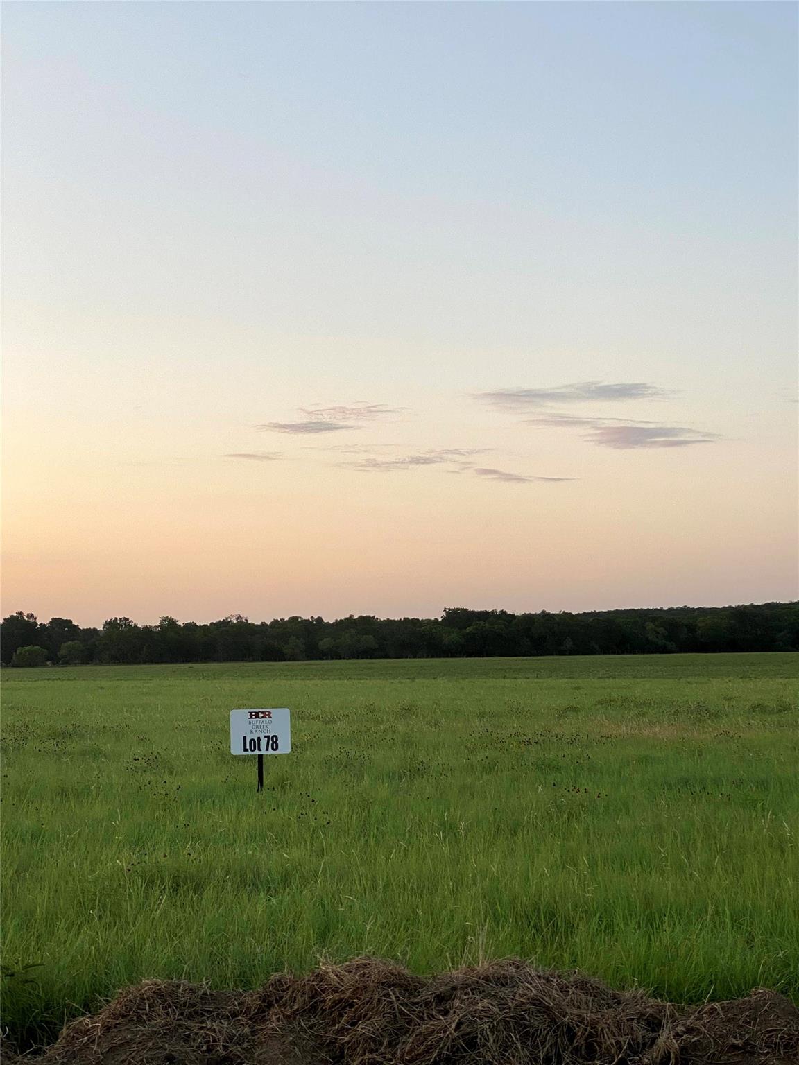 1975 Buffalo Creek Drive Evant TX 76525