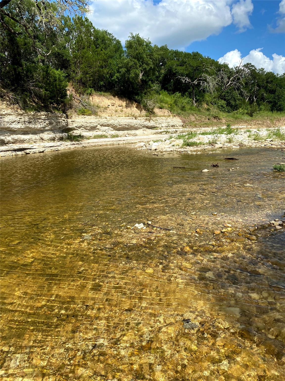 1975 Buffalo Creek Drive Evant TX 76525