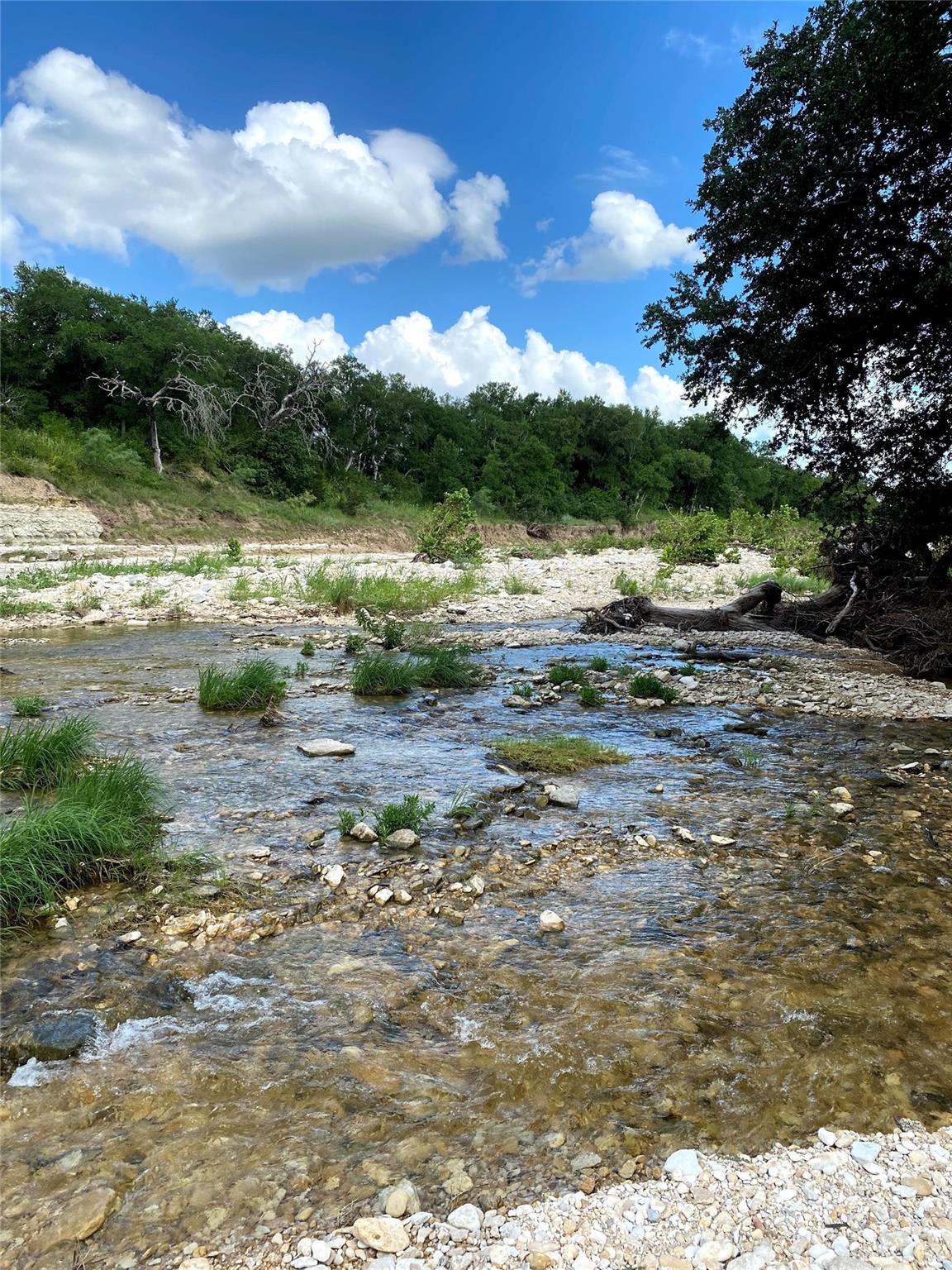 1975 Buffalo Creek Drive Evant TX 76525