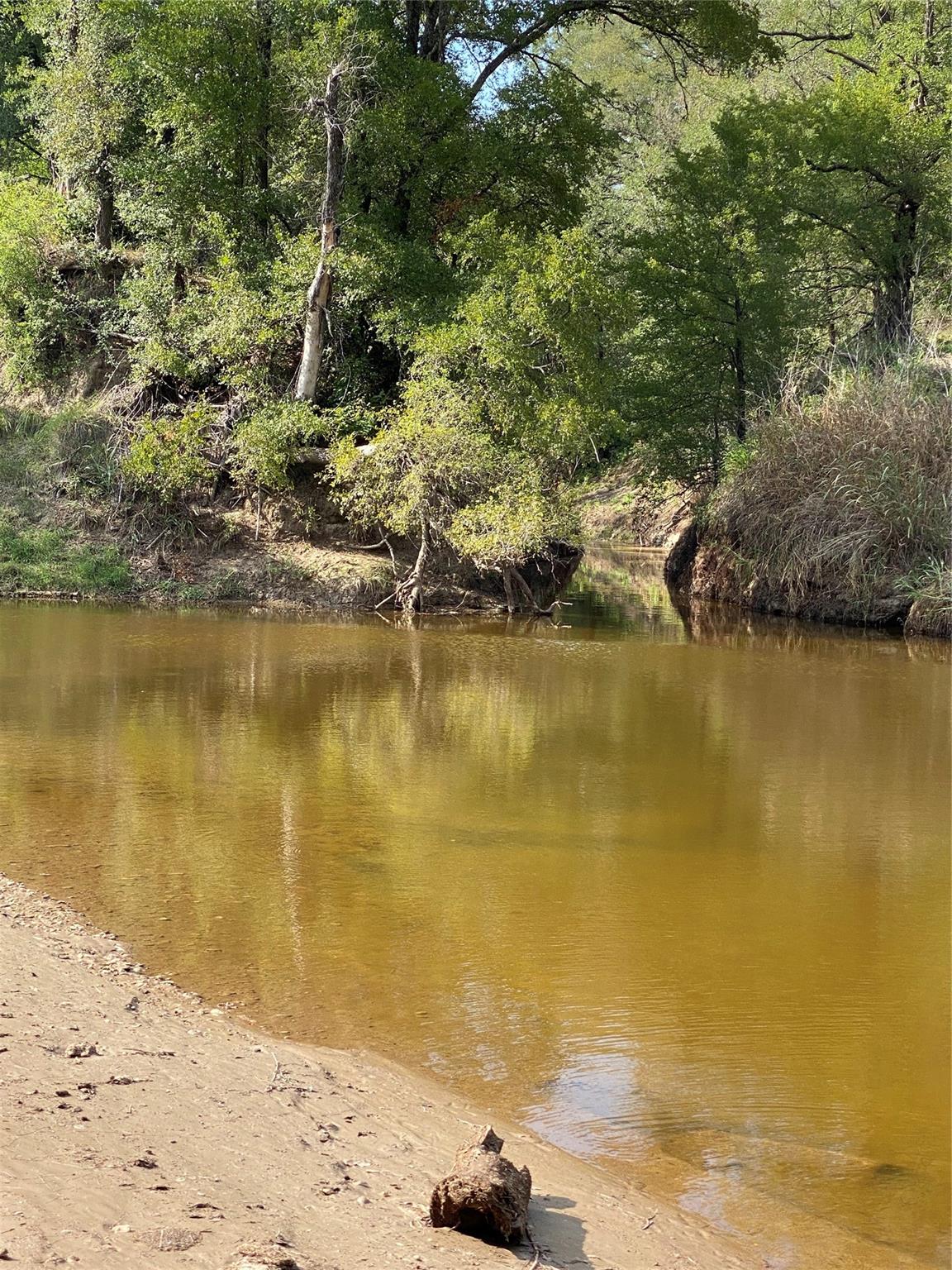 1975 Buffalo Creek Drive Evant TX 76525