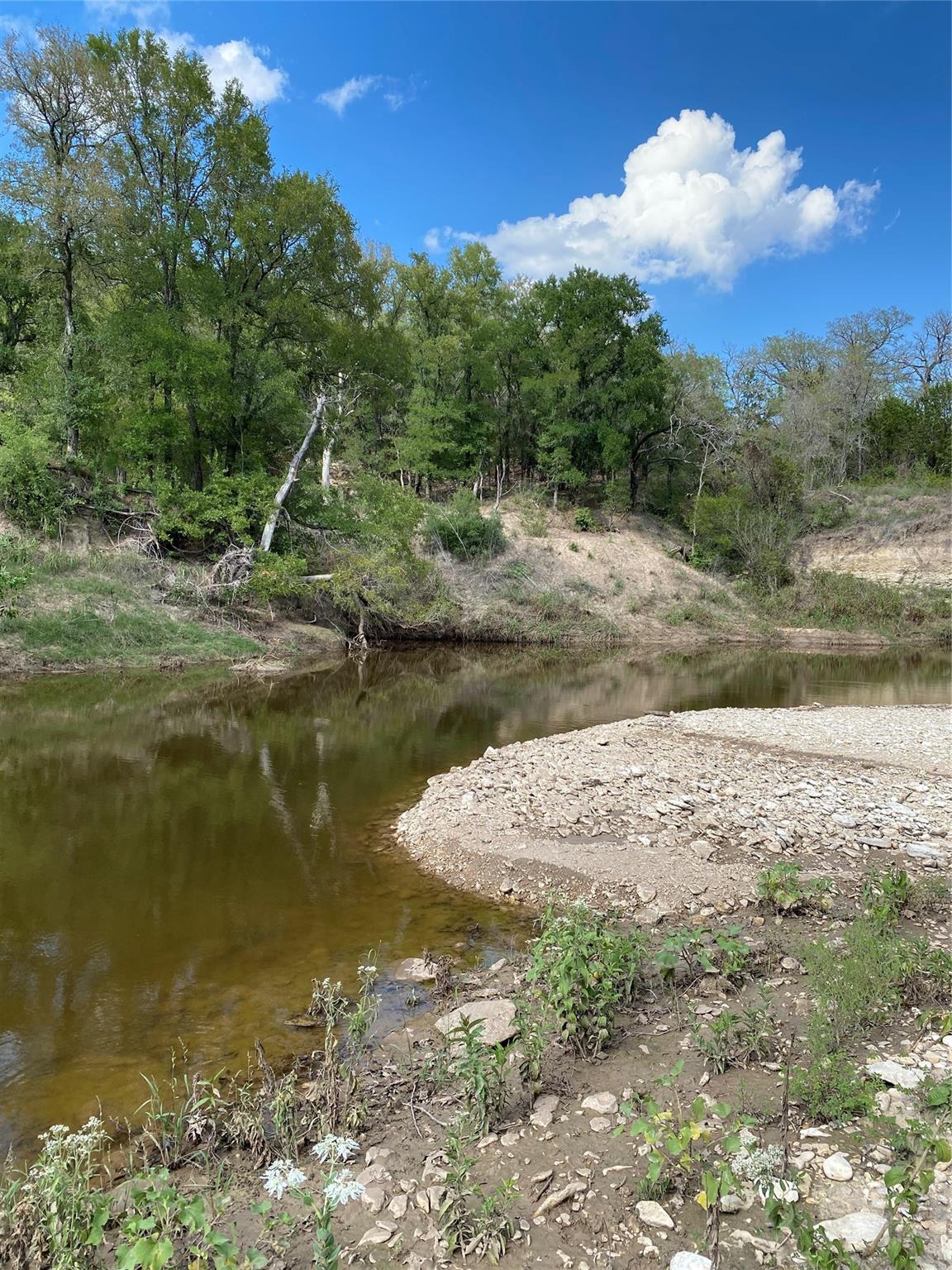 1975 Buffalo Creek Drive Evant TX 76525