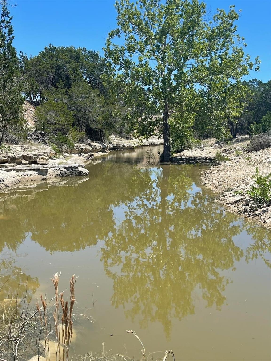 1975 Buffalo Creek Drive Evant TX 76525