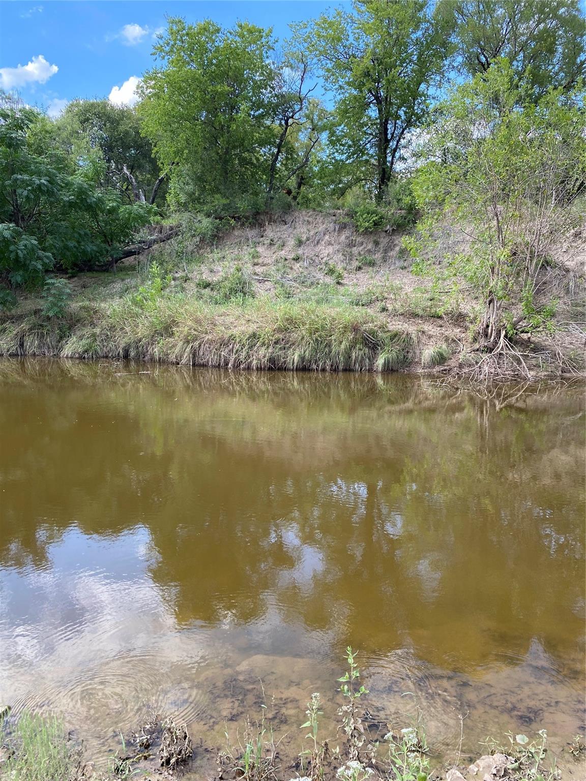 1975 Buffalo Creek Drive Evant TX 76525