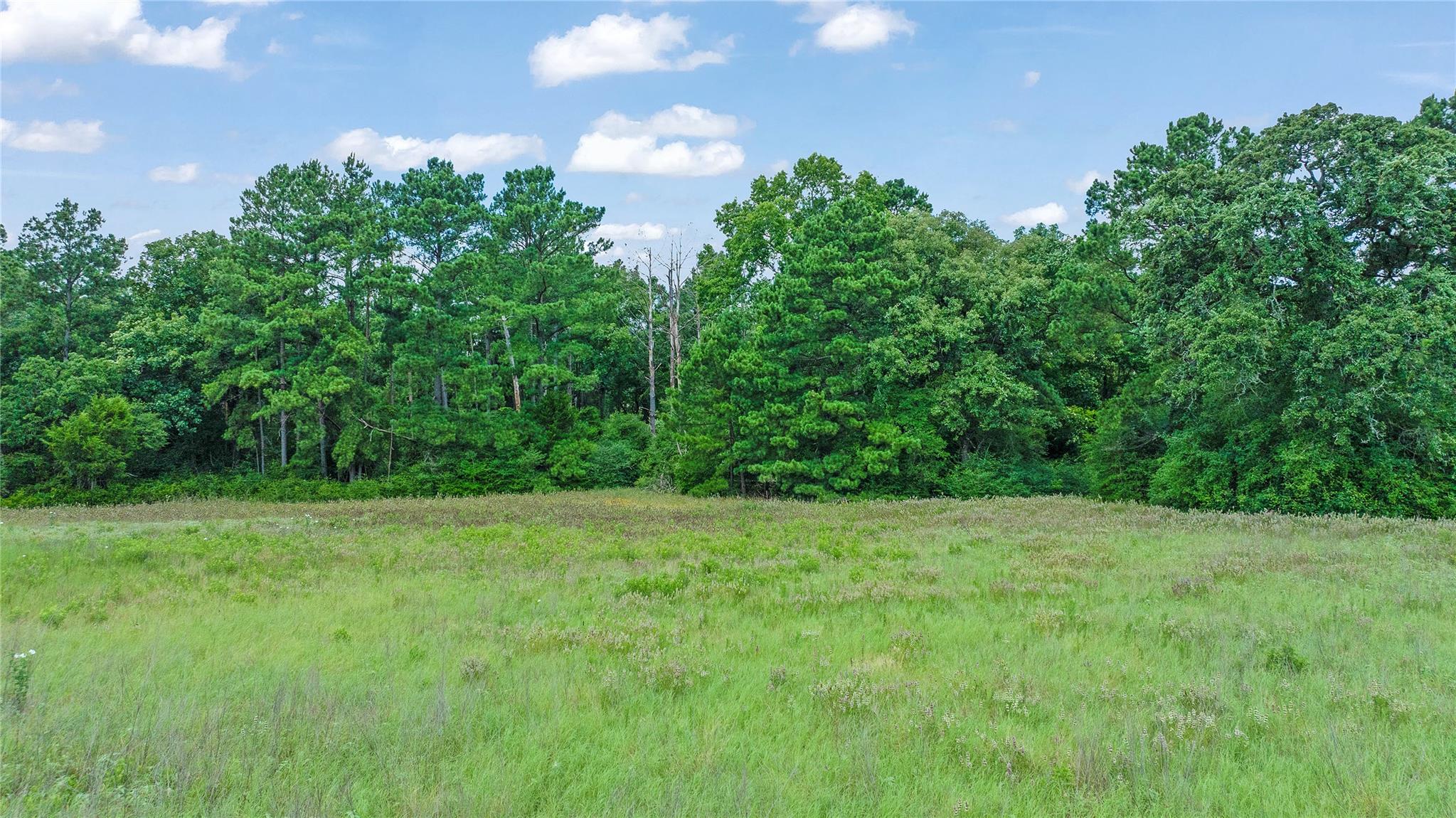 000 Pr 1314 Centerville TX 75833