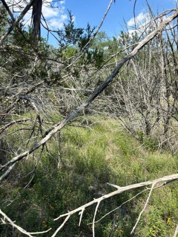 4701 Little Creek Trail Spicewood TX 78669