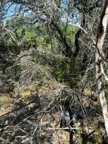 4701 Little Creek Trail Spicewood TX 78669