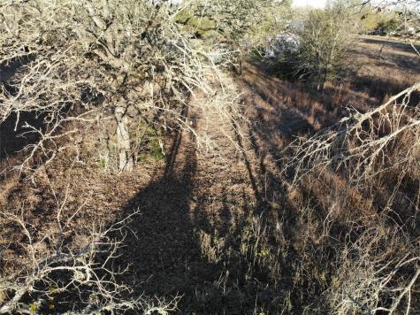 Lots 390 & 80 Hill Loop Road Somerville TX 77879