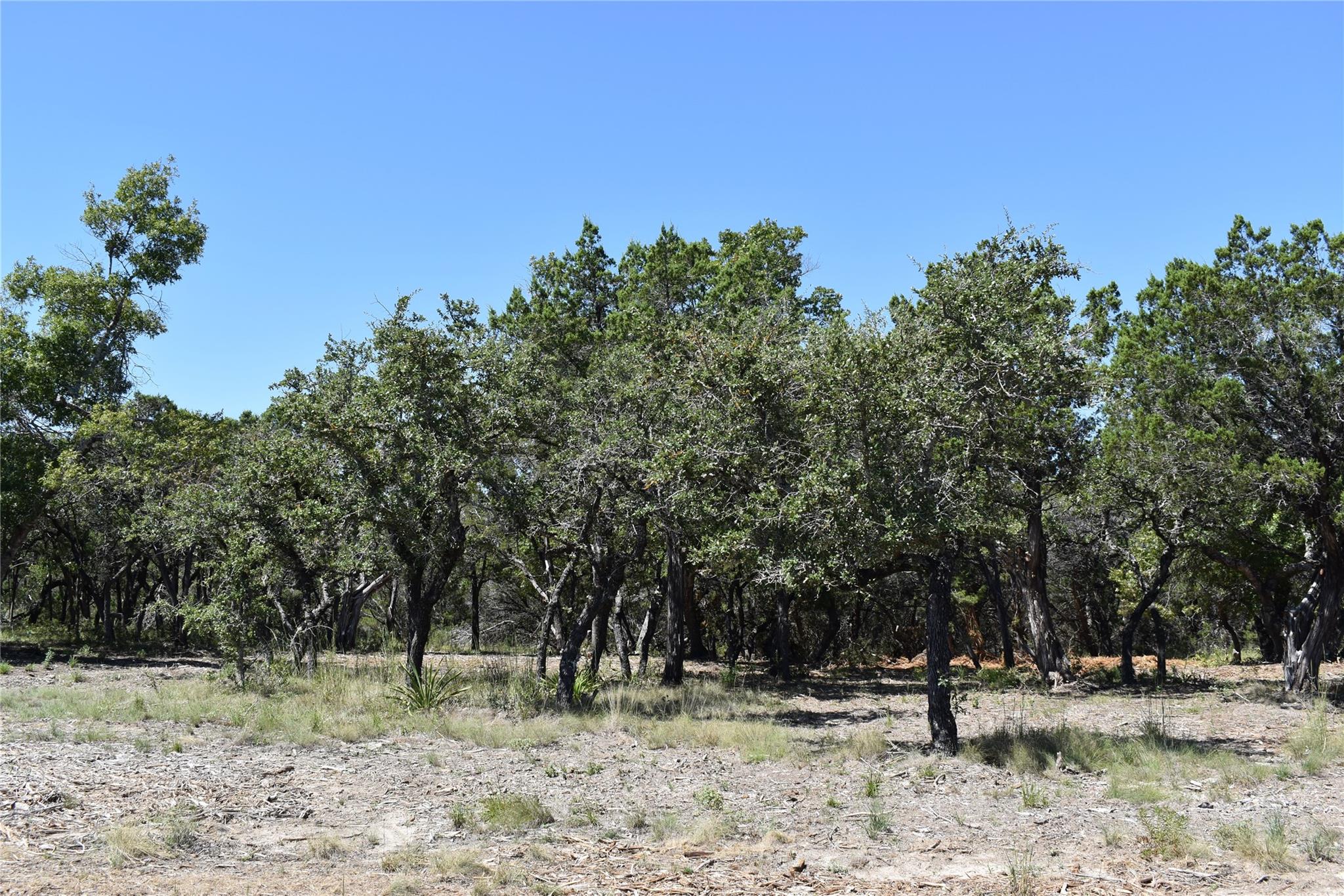 24369 Round Mountain Road Leander TX 78641