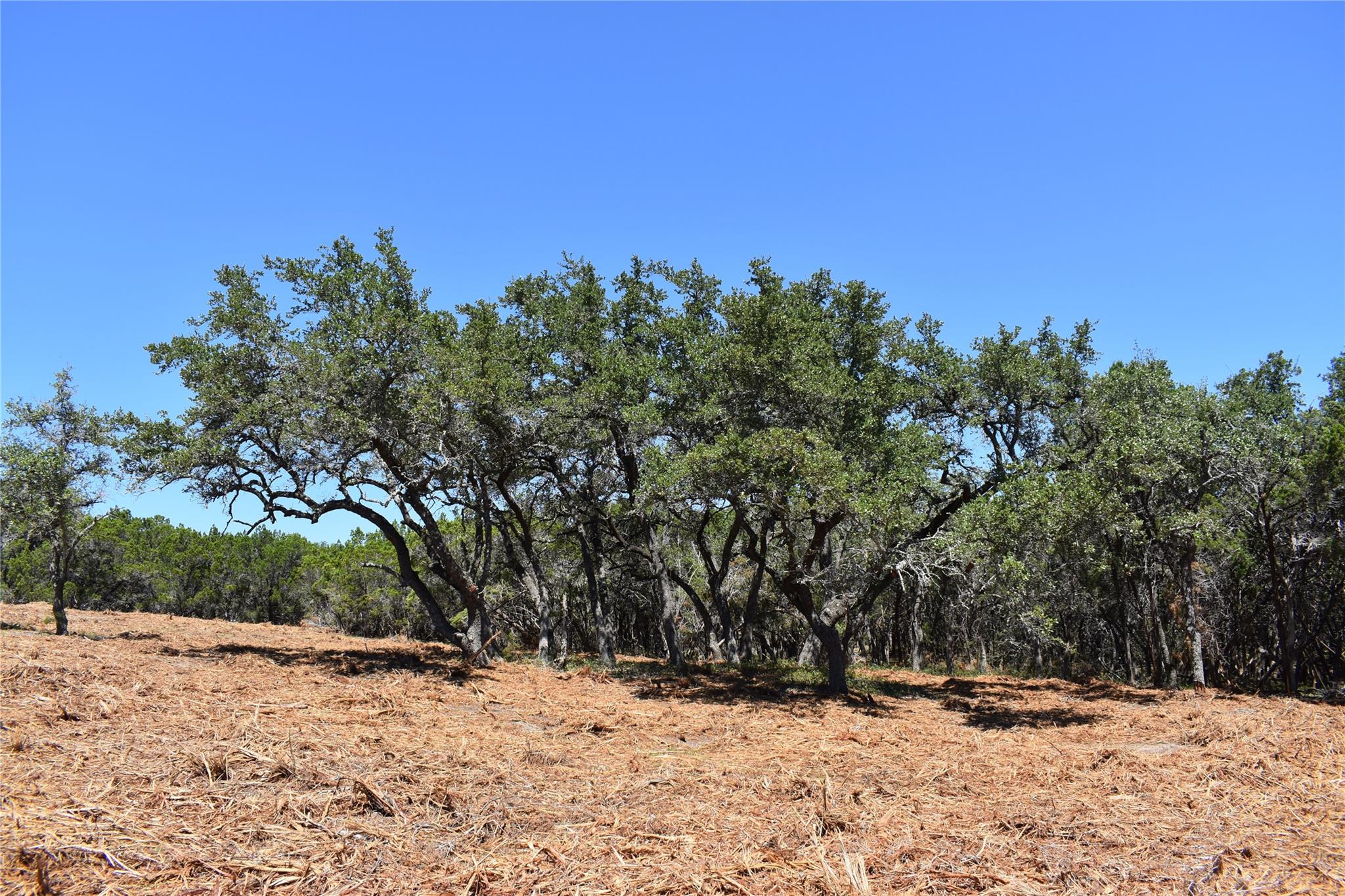 24369 Round Mountain Road Leander TX 78641