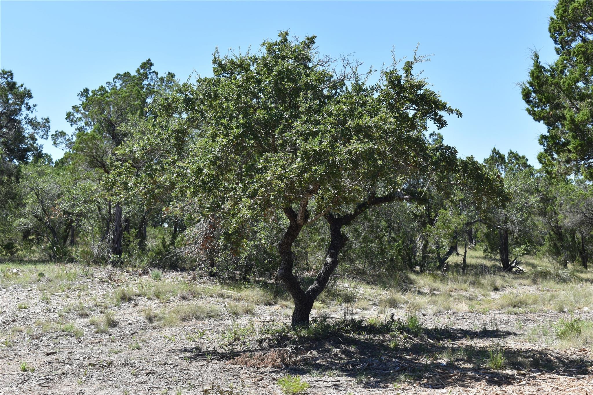 24369 Round Mountain Road Leander TX 78641