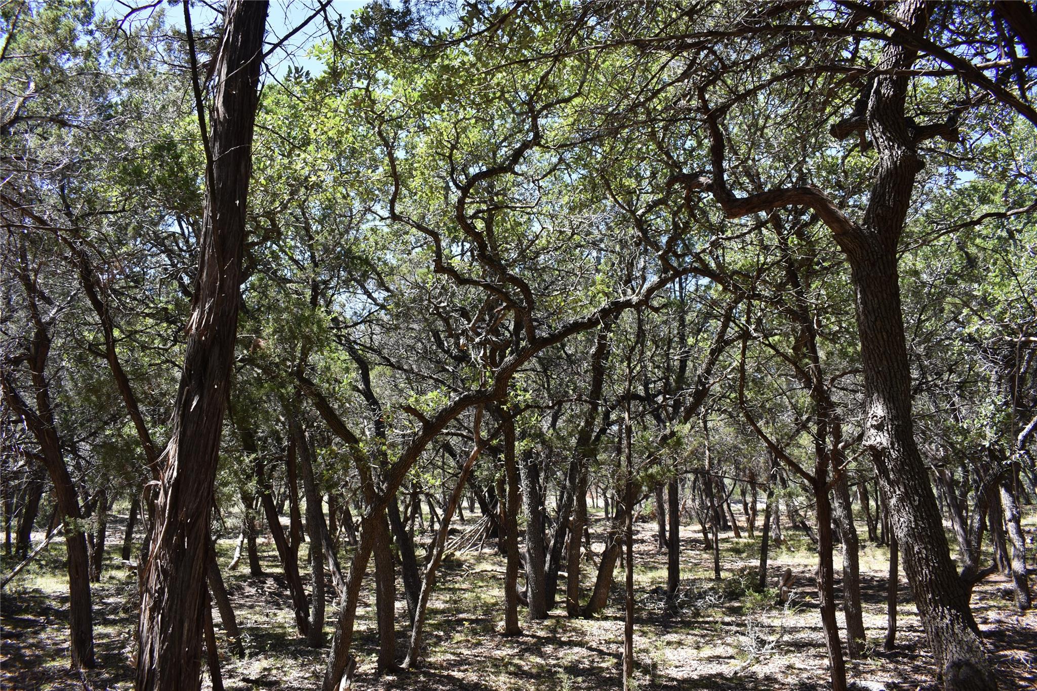 24369 Round Mountain Road Leander TX 78641