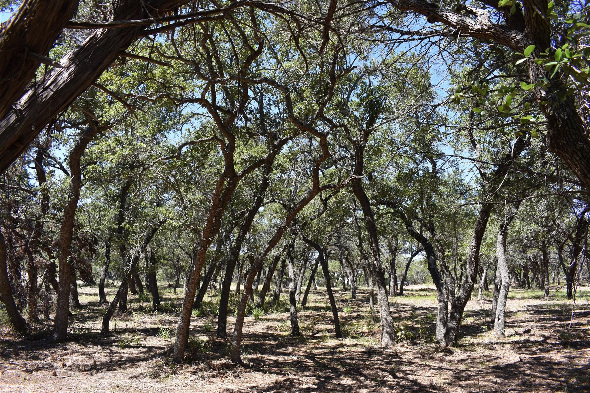24369 Round Mountain Road Leander TX 78641