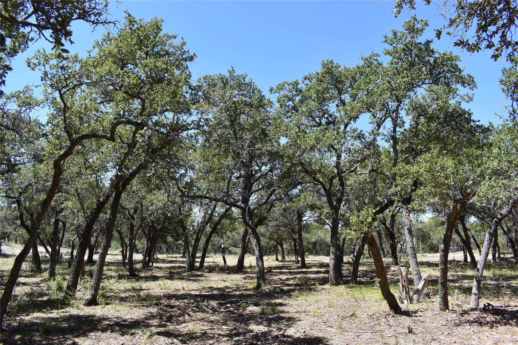 24369 Round Mountain Road Leander TX 78641