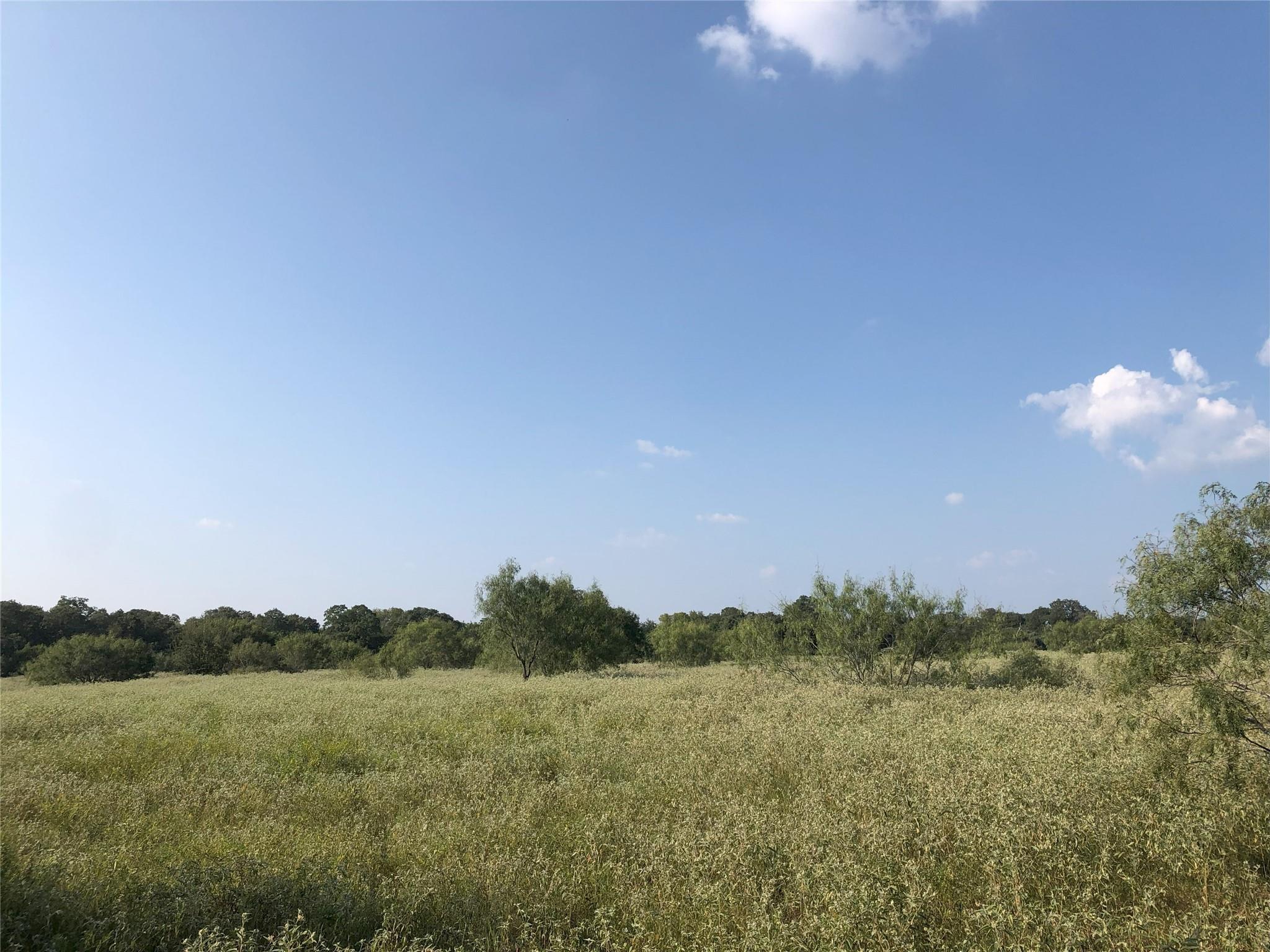 270 Wild Plum Road Lockhart TX 78644