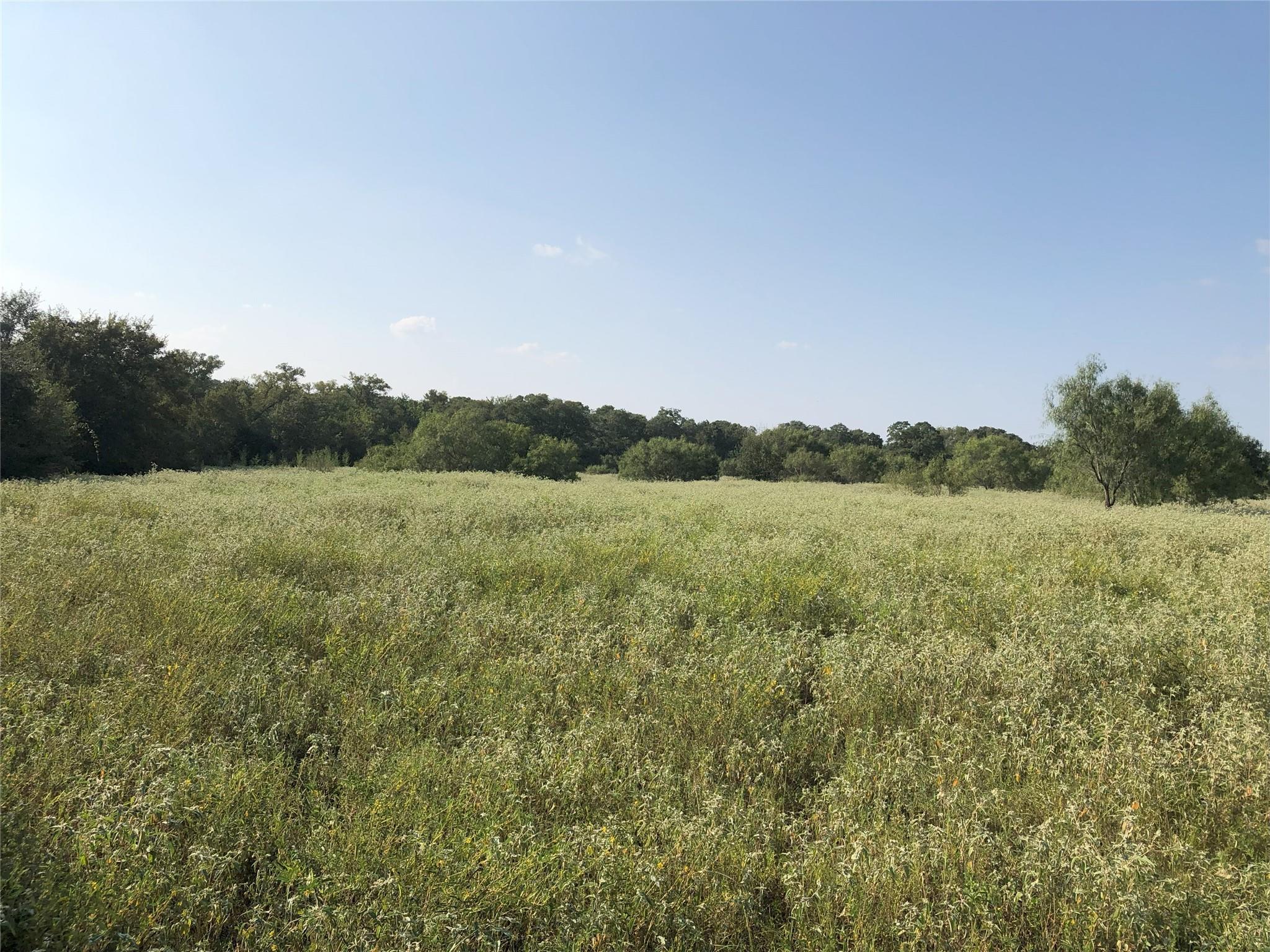 270 Wild Plum Road Lockhart TX 78644