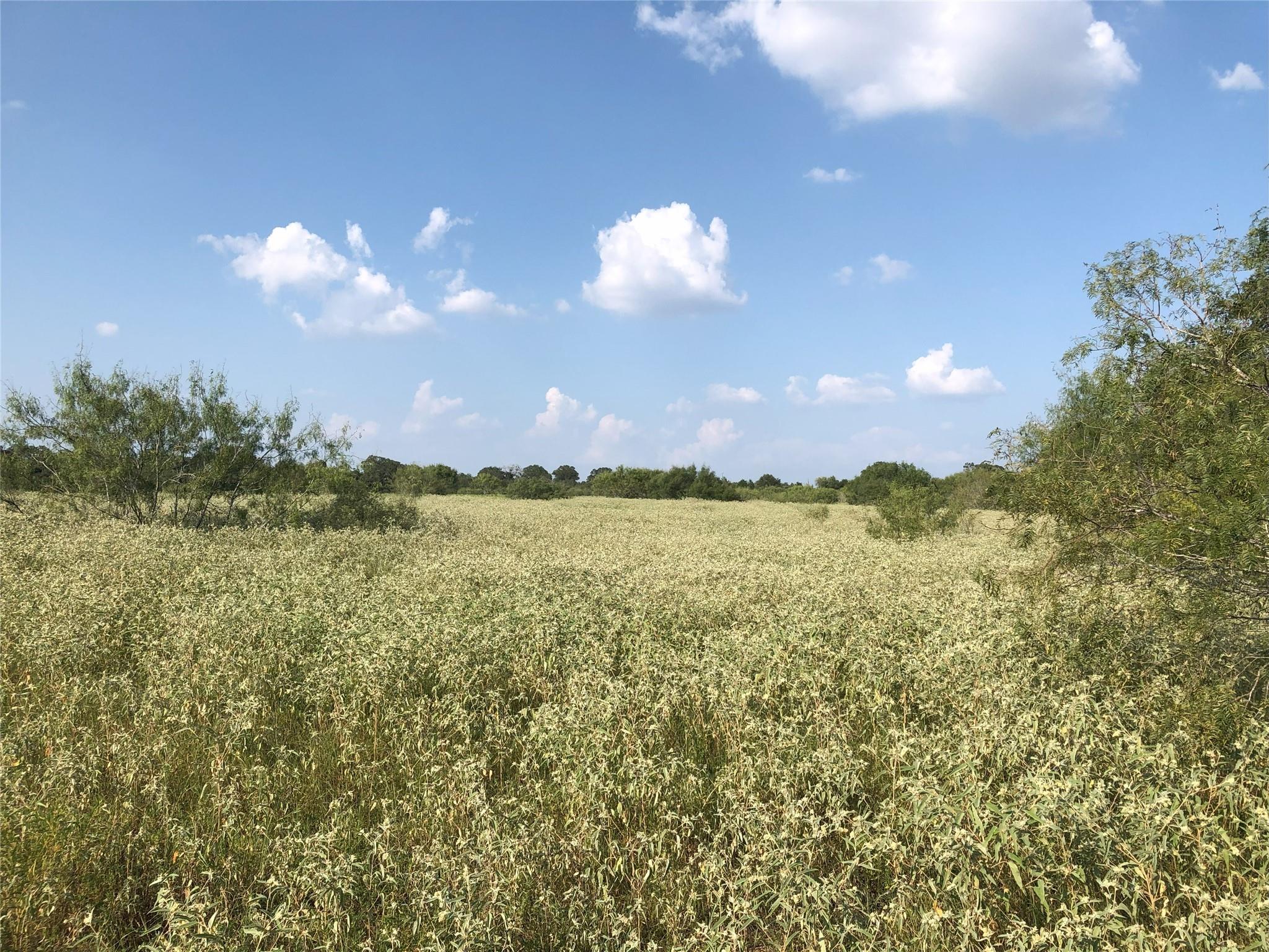 270 Wild Plum Road Lockhart TX 78644