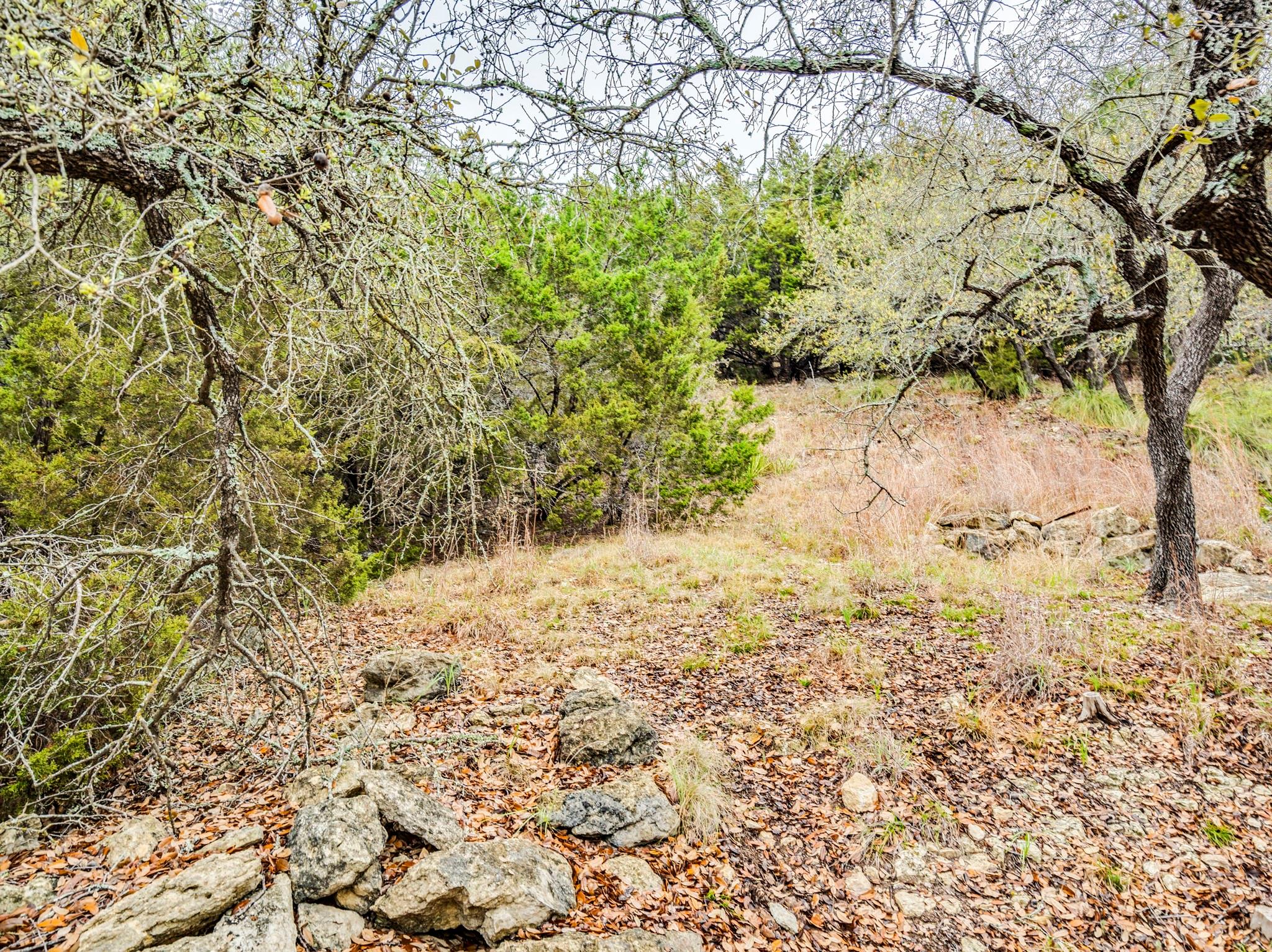 21500 Surrey Lane Lago Vista TX 78645