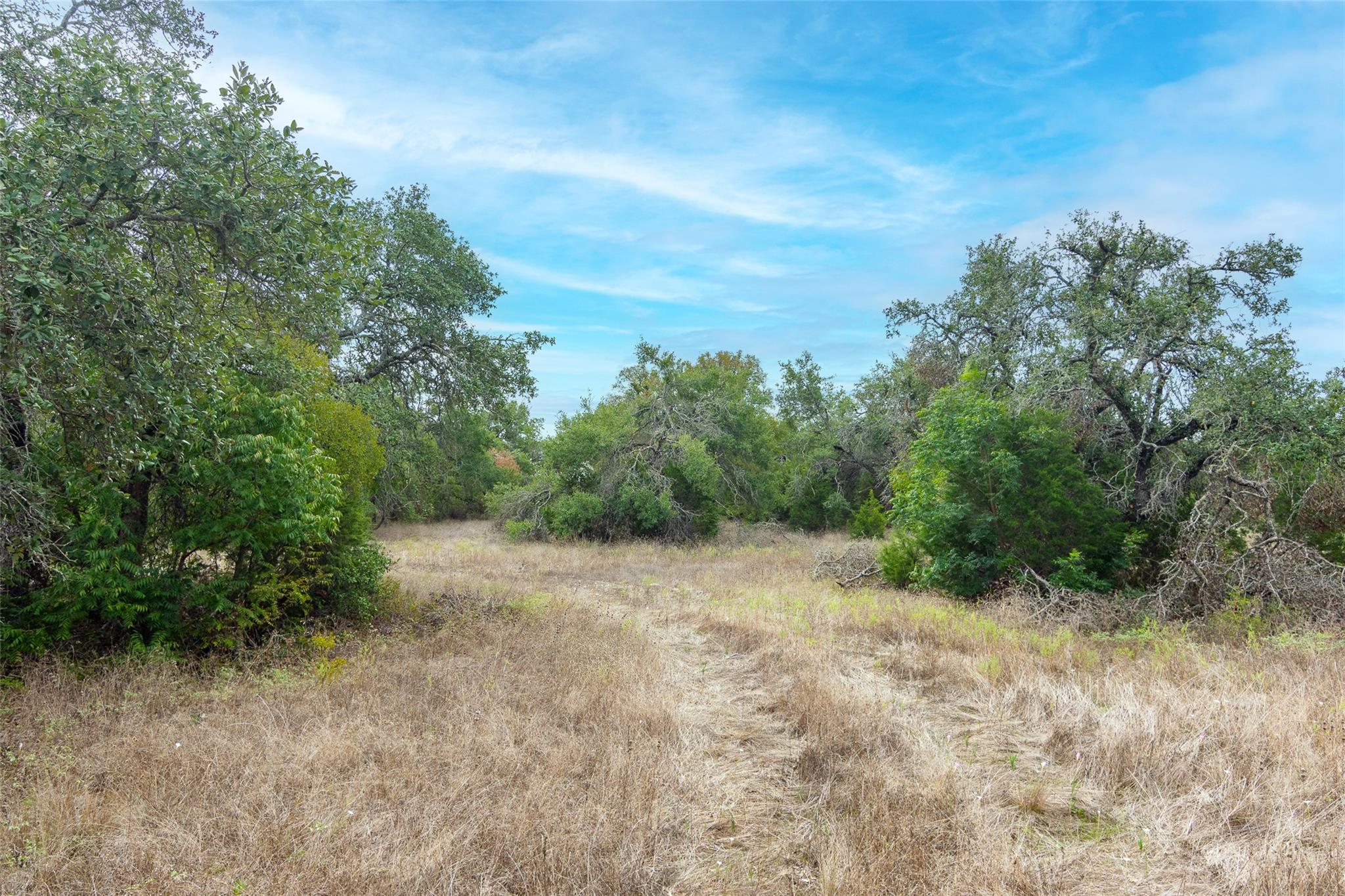 9614 Bronzewood Drive Austin TX 78736