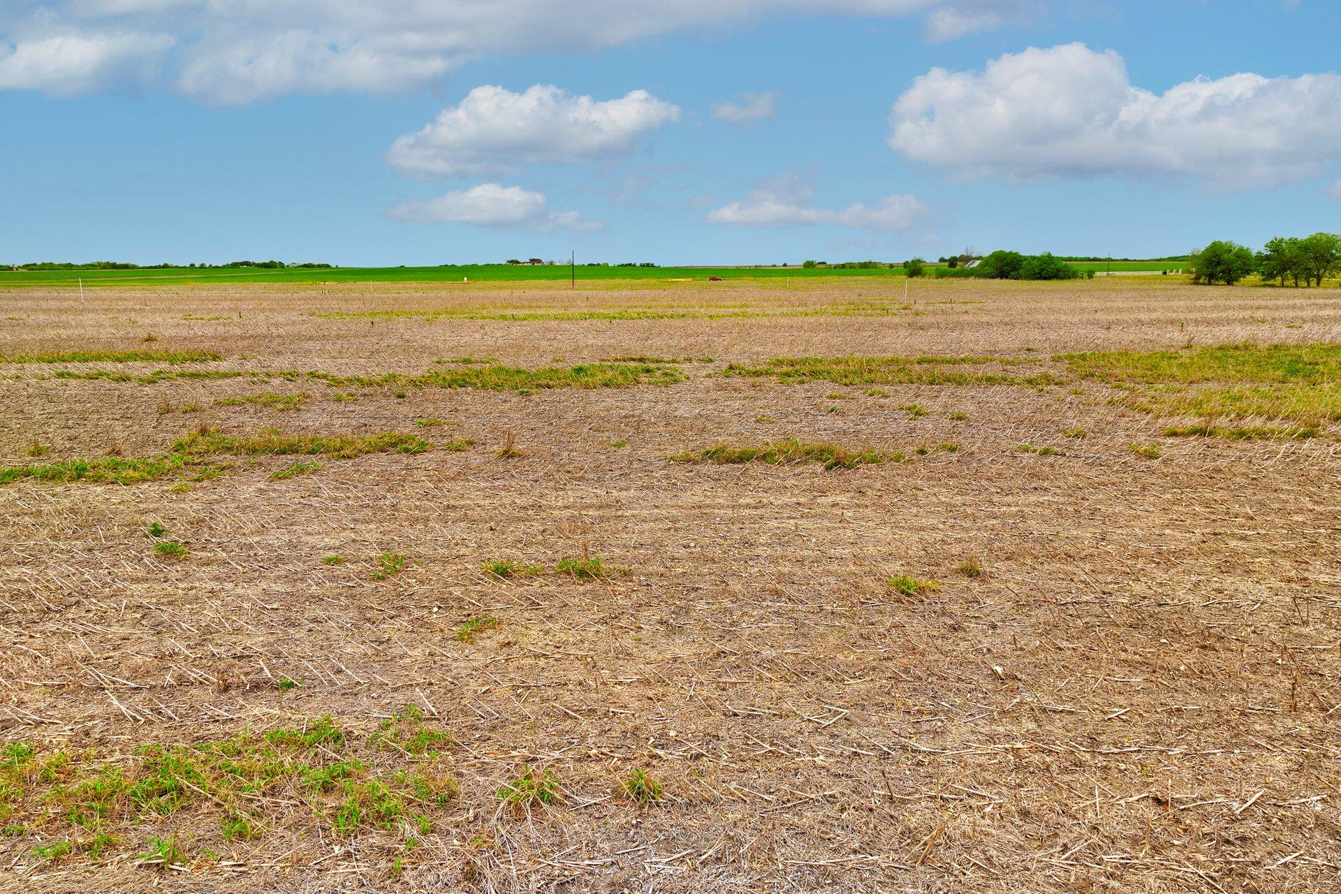 2944 County Road 425 Thorndale TX 76577
