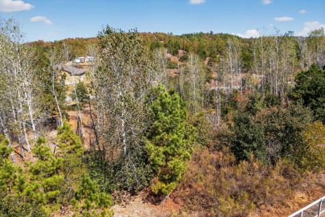 401 Kaanapali Lane Bastrop TX 78602