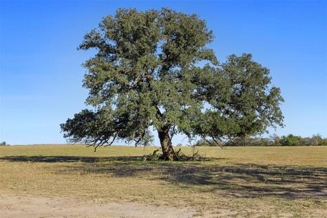 Tbd Stockade Ranch Road Paige TX 78659