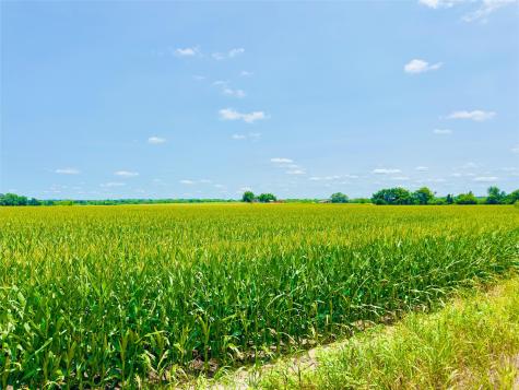 2 Cr 406 Buckholts TX 76518