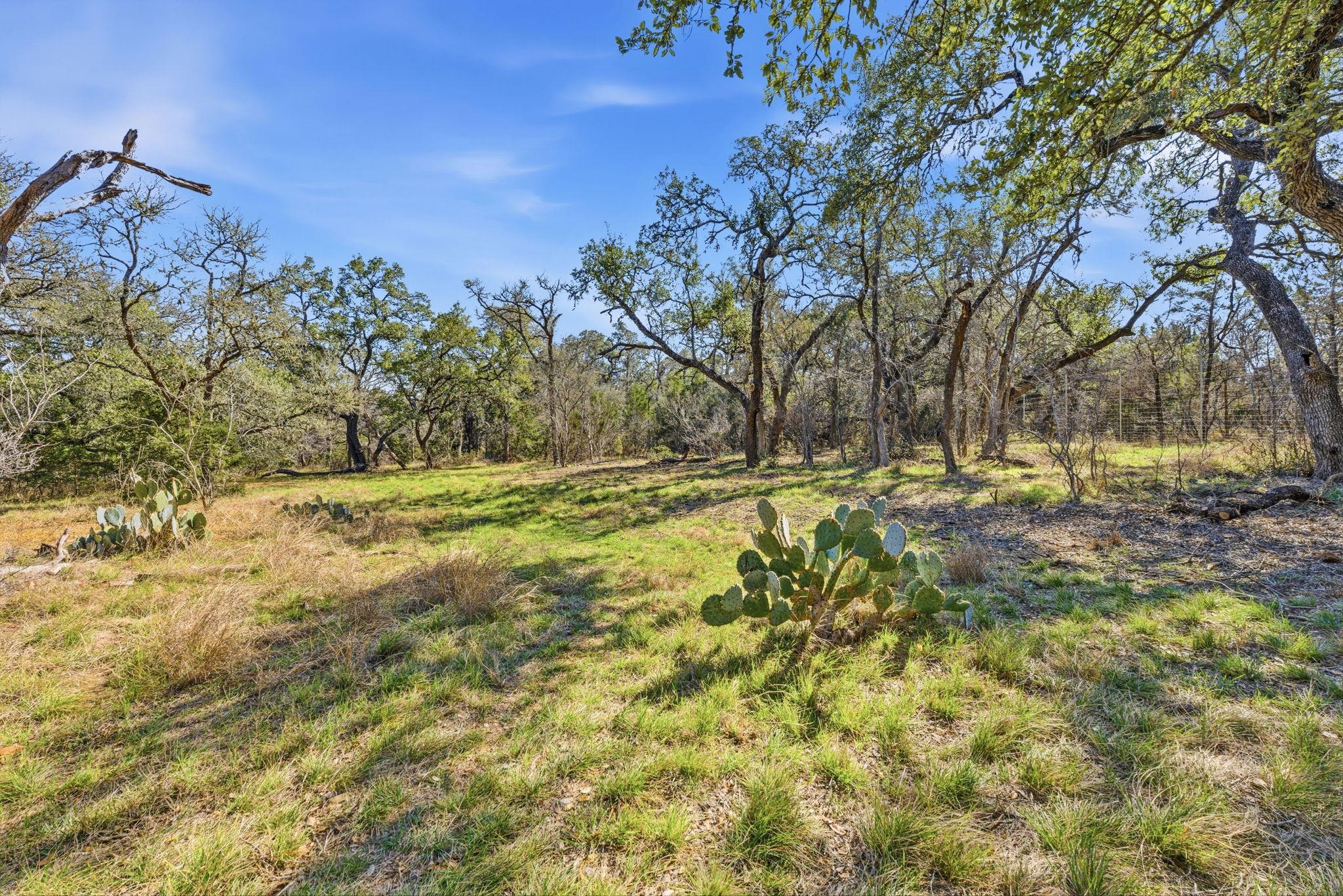 1081 Clark Cove Buda TX 78610