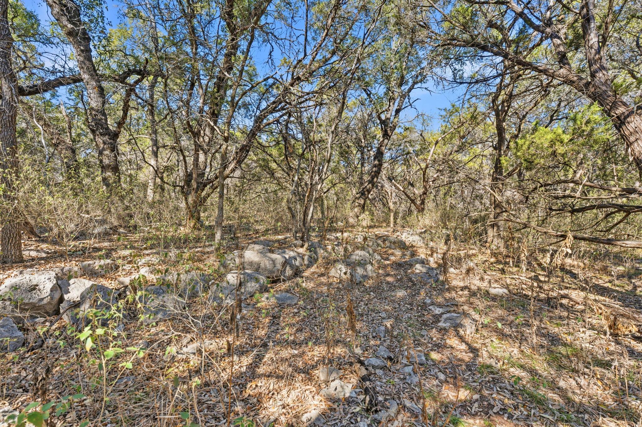 1081 Clark Cove Buda TX 78610