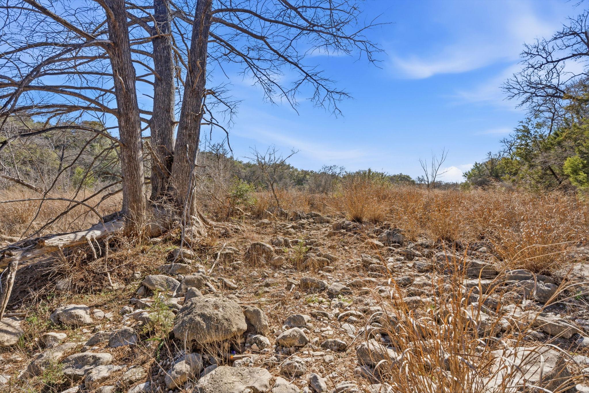 1081 Clark Cove Buda TX 78610