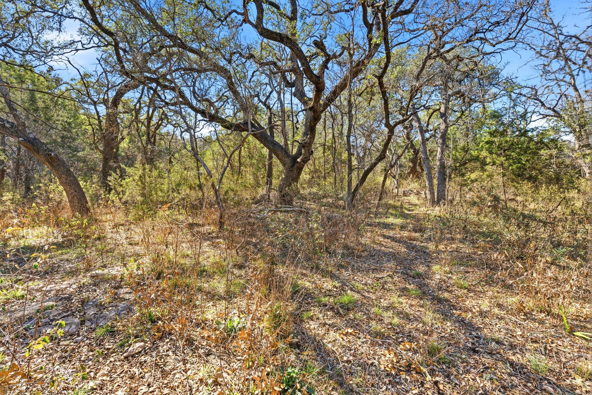 1081 Clark Cove Buda TX 78610