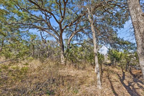 1081 Clark Cove Buda TX 78610