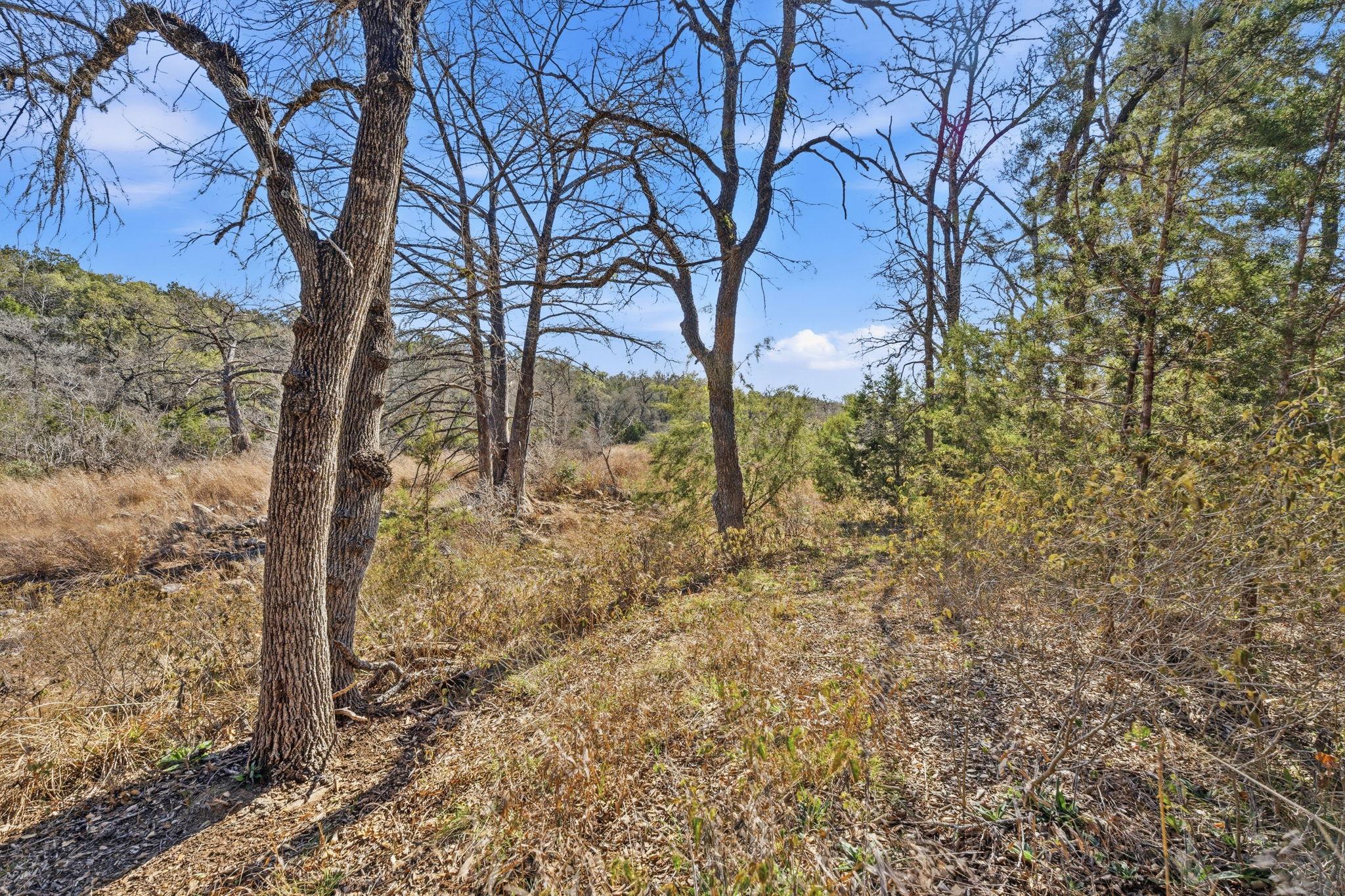 1081 Clark Cove Buda TX 78610
