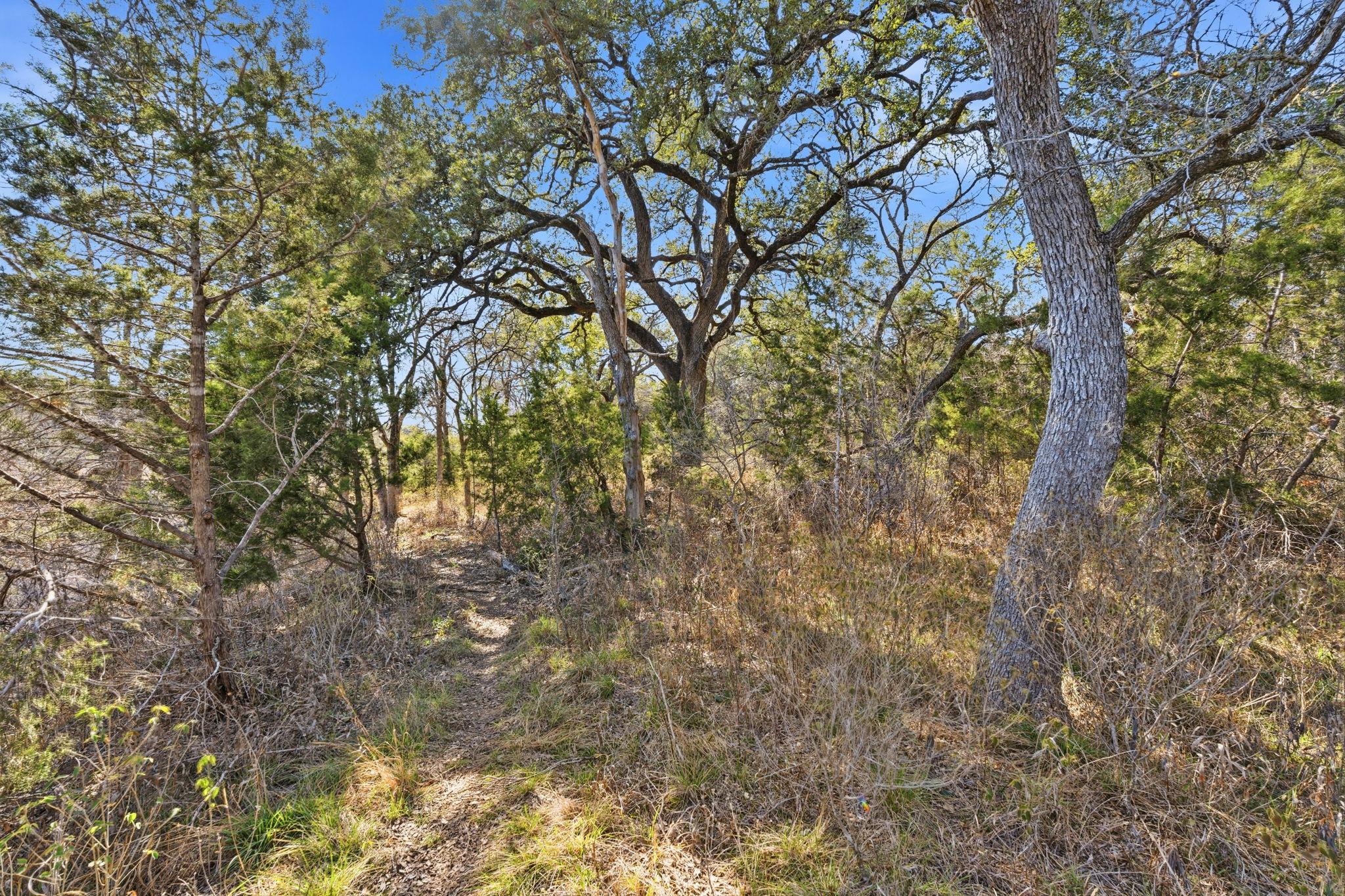 1081 Clark Cove Buda TX 78610