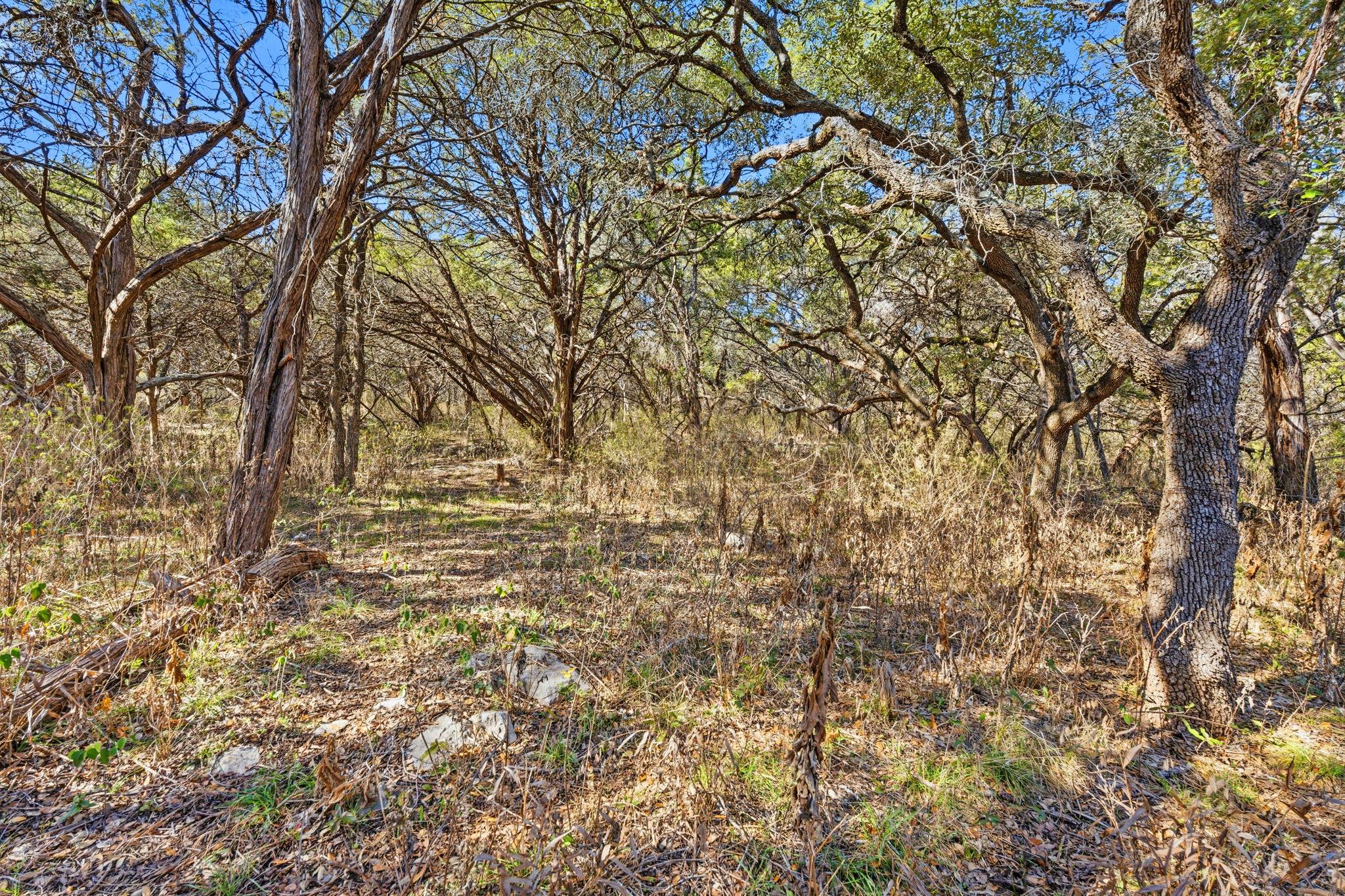 1081 Clark Cove Buda TX 78610
