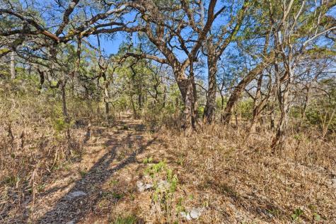 1081 Clark Cove Buda TX 78610