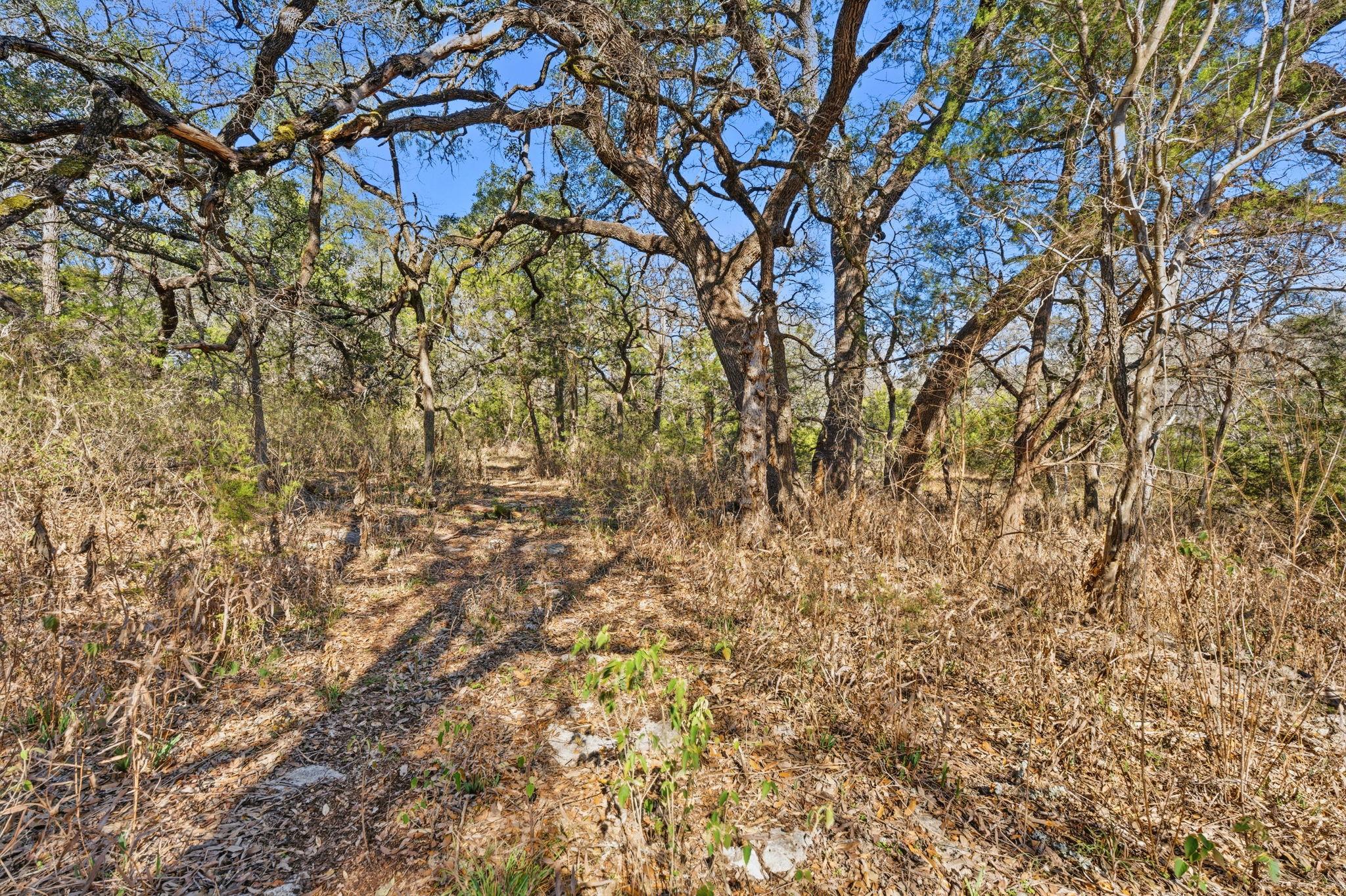 1081 Clark Cove Buda TX 78610