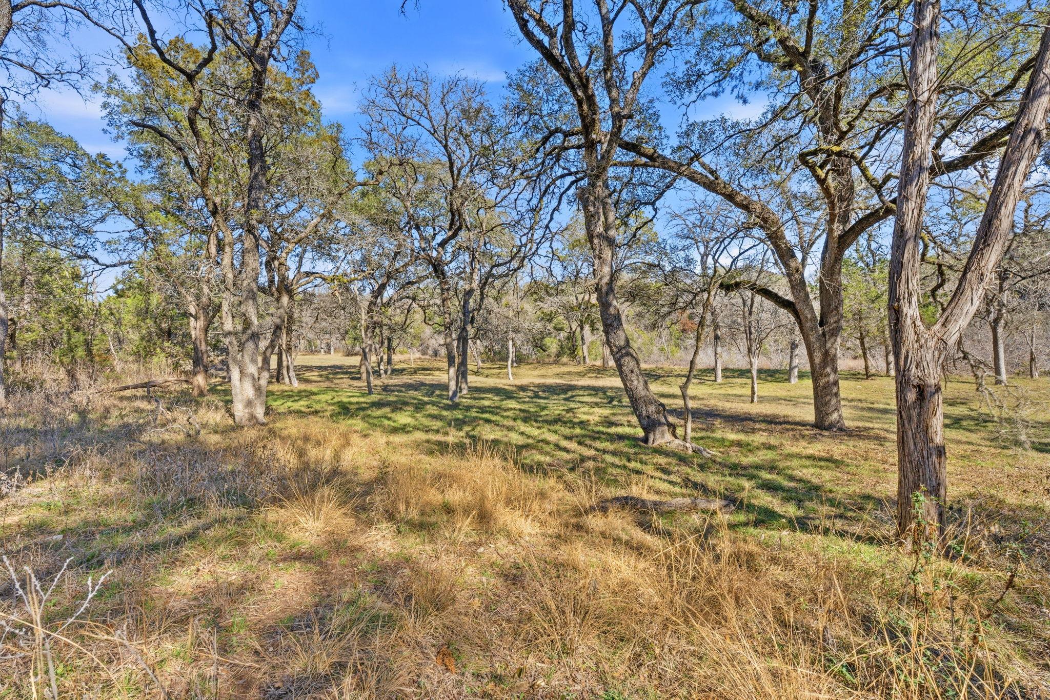 1081 Clark Cove Buda TX 78610