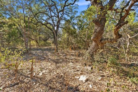 1081 Clark Cove Buda TX 78610