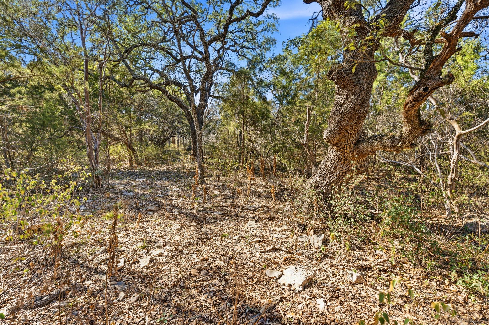 1081 Clark Cove Buda TX 78610