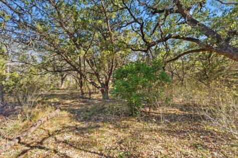 1081 Clark Cove Buda TX 78610