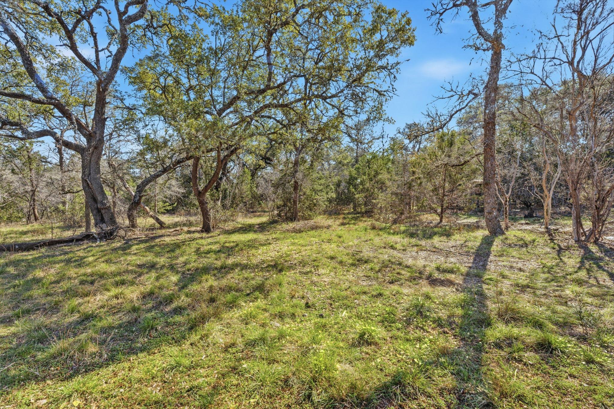 1081 Clark Cove Buda TX 78610